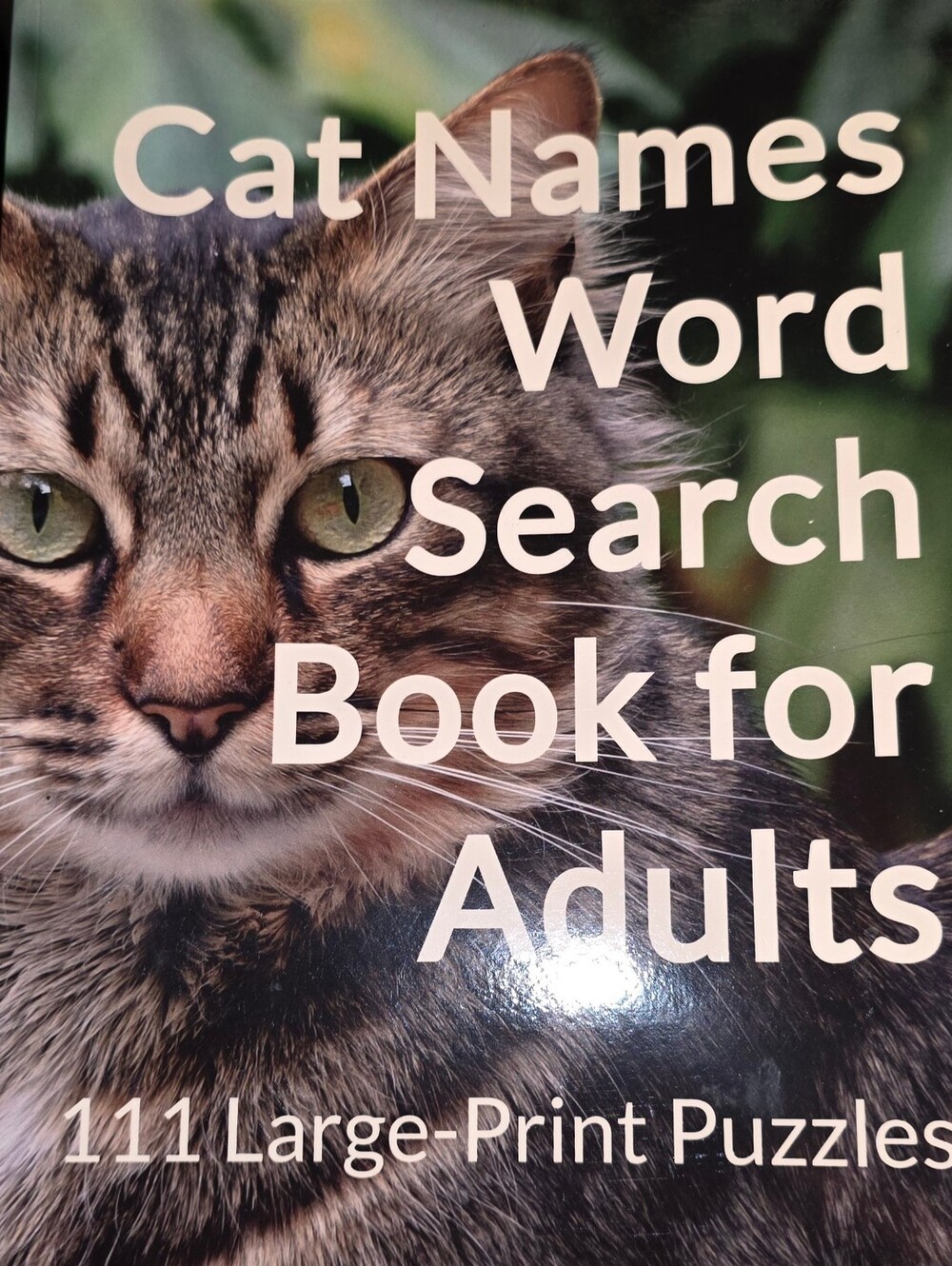 111 Large Print Cat Names Word Search Book For Adults